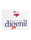 DIGENIL PANCRETINA 230MG / SIMETICONA 80MG  20 CAPSULAS LAB. SAVAL