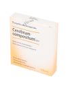 CEREBRUM COMPOSITUM NM 5 AMPOLLAS HEEL